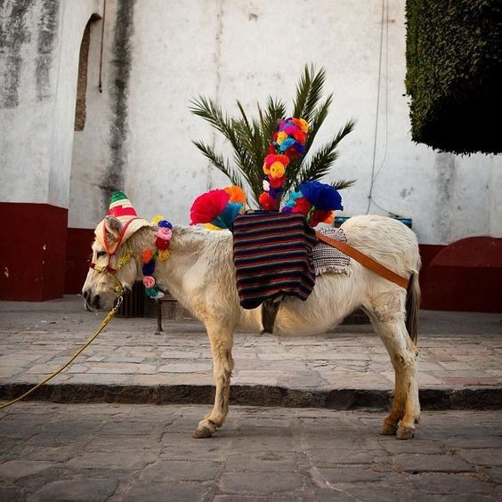 San Miguel de Allende