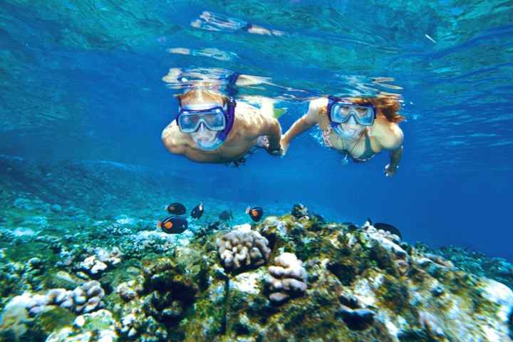 b) Hacer snorkel