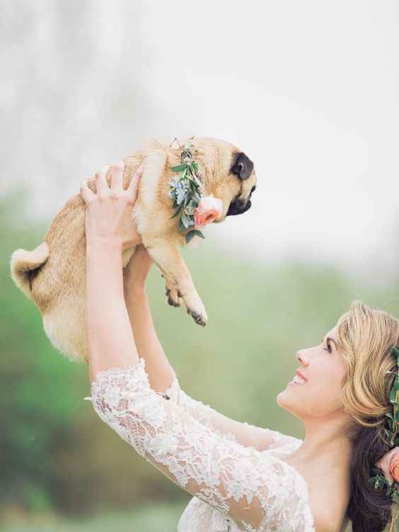 Día de los animales