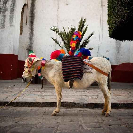 San Miguel de Allende
