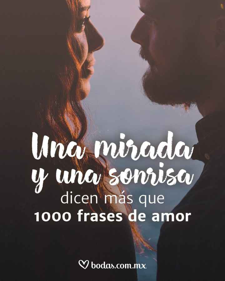 adasdads