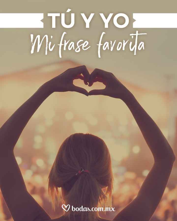 adasdasd