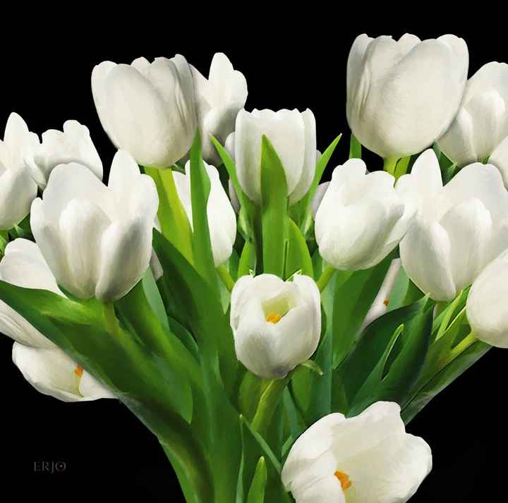 D) Tulipanes