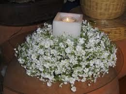 escogiendo las flores