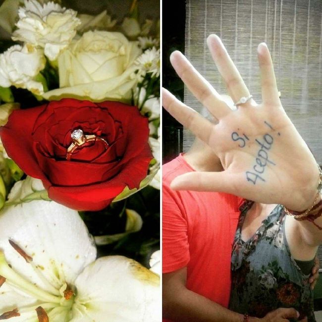 Tus anillos de matrimonio ideales son: ¡clásicos! - 1