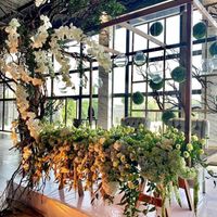 Damas multicolor - 1