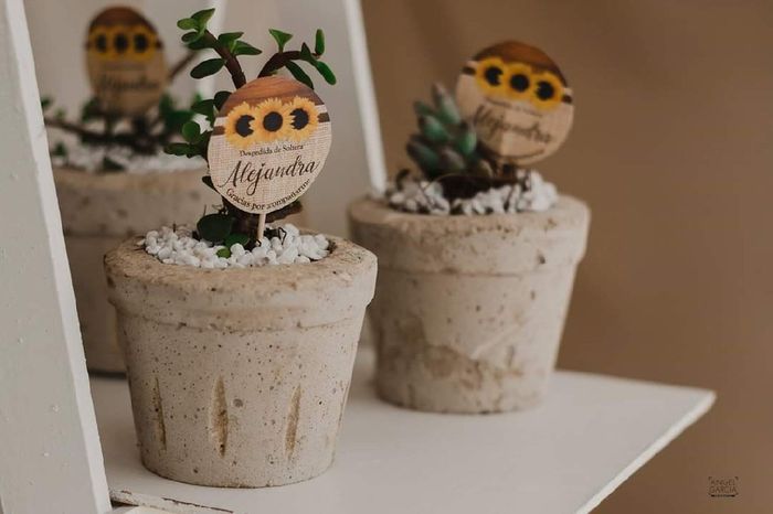 "mi despedida de soltera" 3