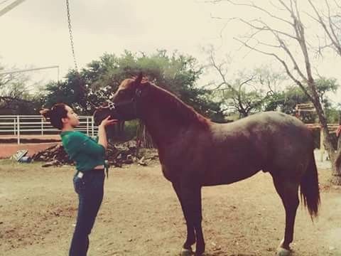 “Nuestras mejores fotos” - 4