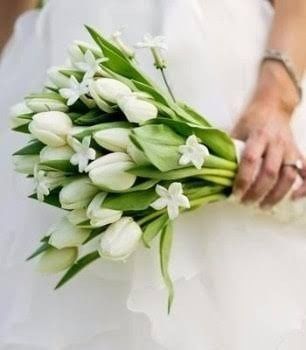 Tulipanes para ramo de novia🌷 - 20