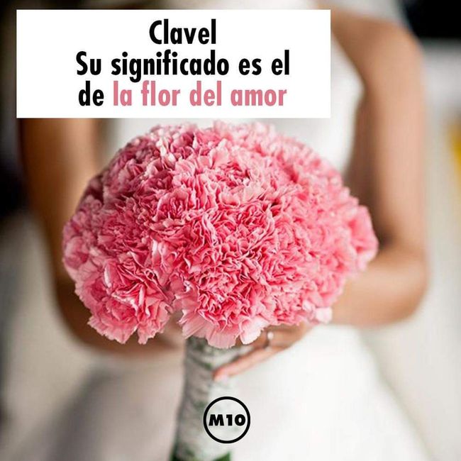 ¿Que flores llevará su ramo de novia?💐 - 3