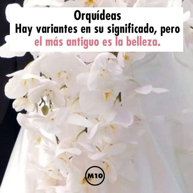 ¿Que flores llevará su ramo de novia?💐 - 6