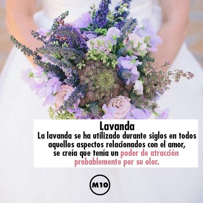 ¿Que flores llevará su ramo de novia?💐 - 7