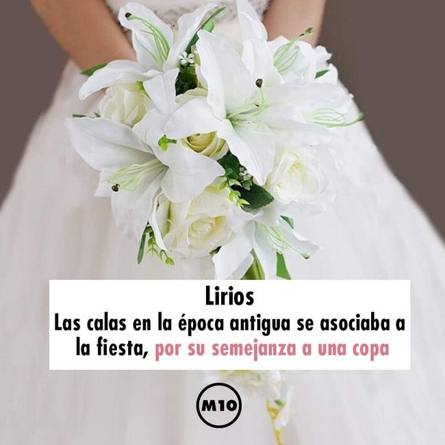 ¿Que flores llevará su ramo de novia?💐 - 8