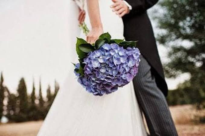 Ramos de Novia con Hortensias - 16