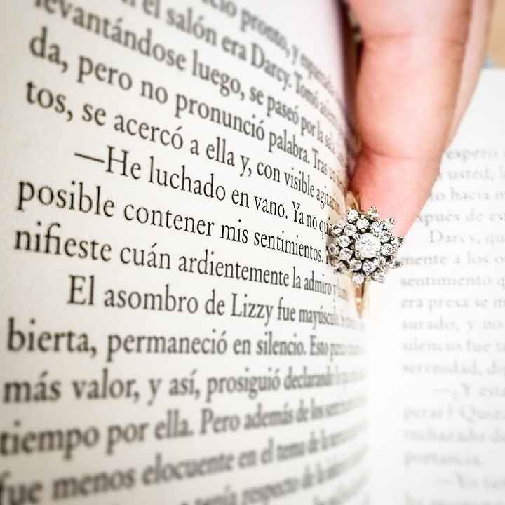 Novia 2019 - 1