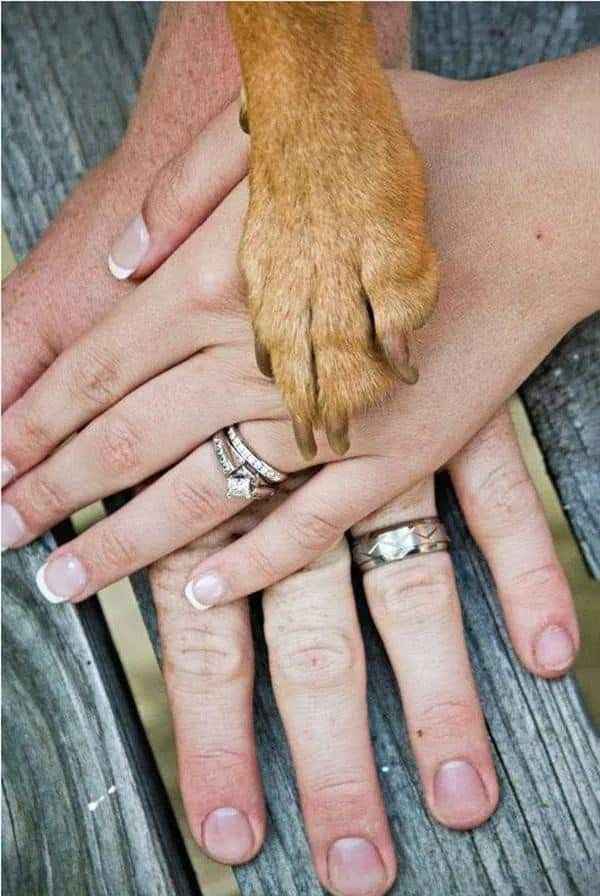 Detalles que harán la diferencia! 👰 - 6