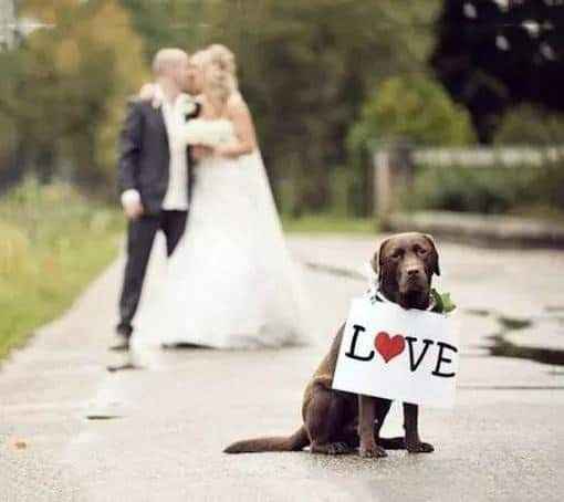 Detalles que harán la diferencia! 👰 - 9