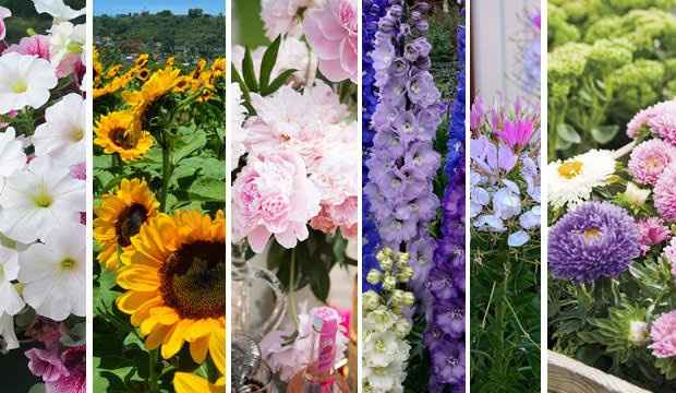 Boda en Verano🐝💚🌞 - 2