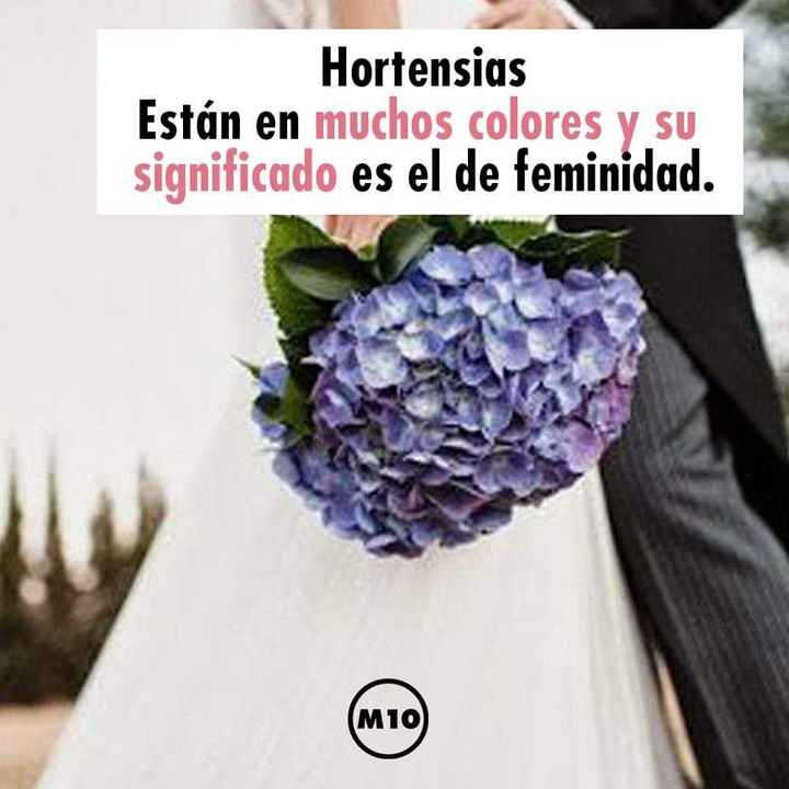 ¿Que flores llevará su ramo de novia?💐 - 2