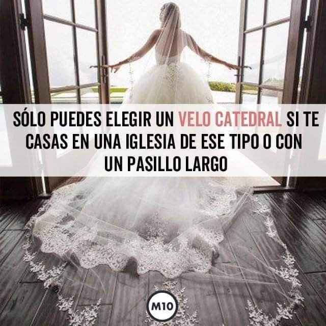 Reglas sobre el Velo de Novia👰 - 7