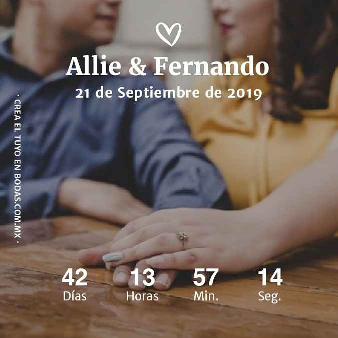 ¿Cómo va su contador? 🐝 - 1