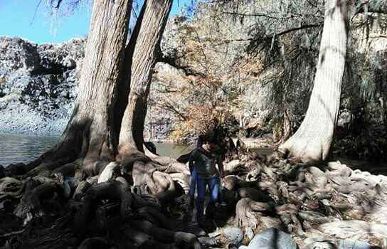 ¿Cuál fue su primera aventura juntos? - 1