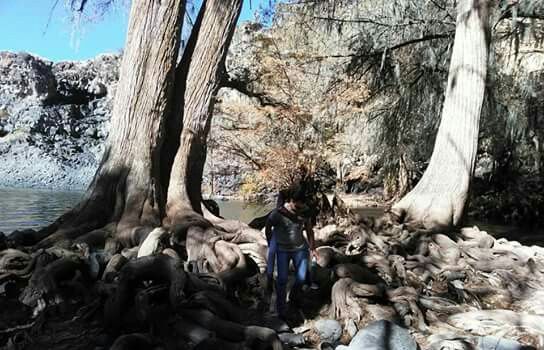 ¿Cuál fue su primera aventura juntos? - 1