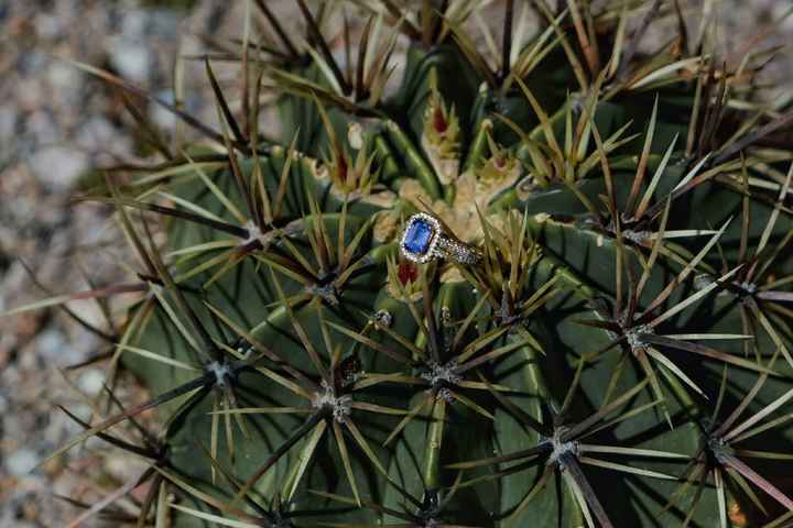 Mi save the date! - 6