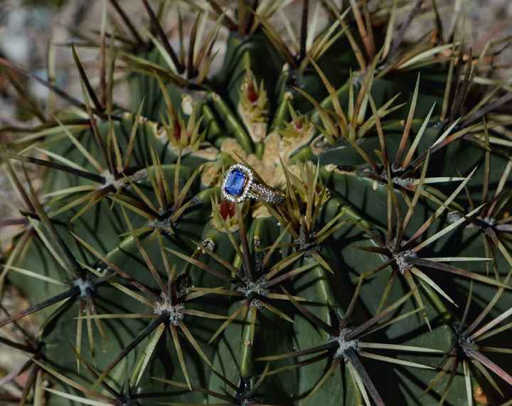 Mini sesión de anillo de compromiso 💍 - 1