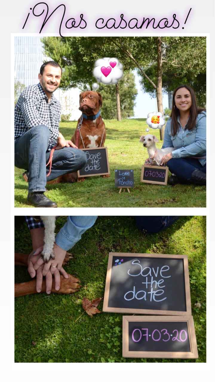 Save the date peludo - 1