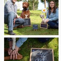 Save the date peludo - 1