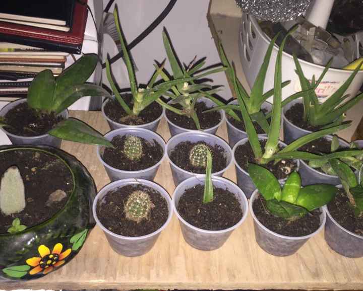  Avances de la despedida de soltera - 1