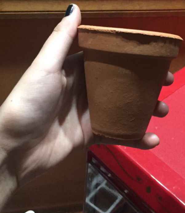  Avances de la despedida de soltera - 2