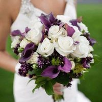 ramo 4 ( es el que mas la lleva de ganar)