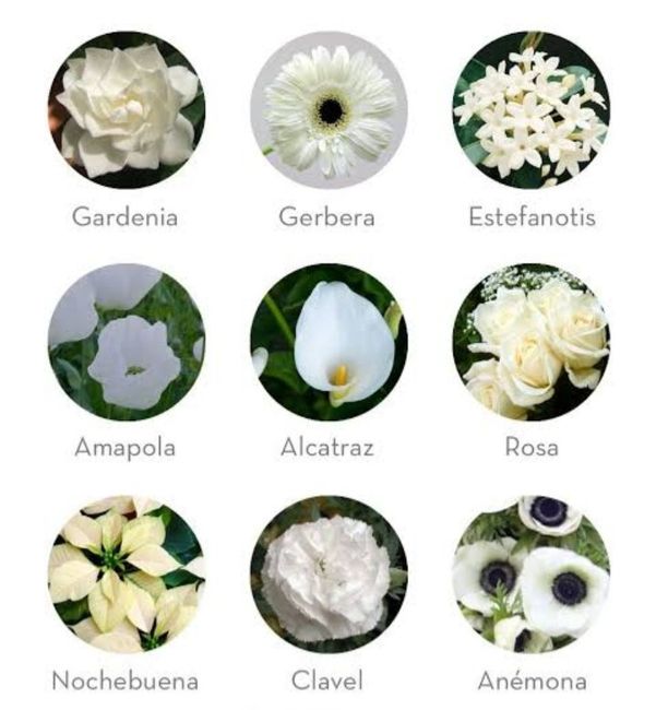 Boda en Diciembre Ramo y Flores 15