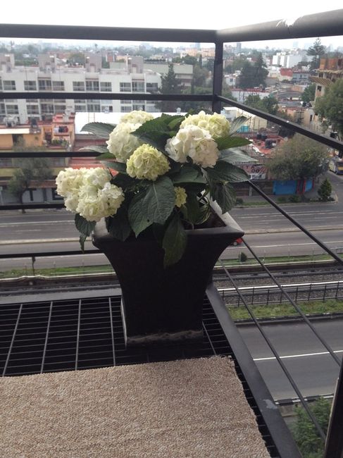 Centros de mesa... nombre de flores??? - 1