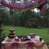 ¡mi despedida de soltera! - 2