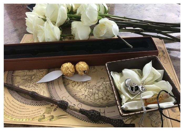 Una encantada pedida de mano estilo harry potter - 3