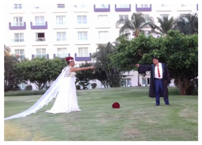  Mi boda Harry Potter - 2