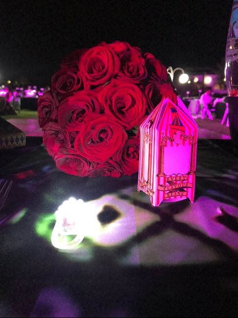  Mi boda Harry Potter - 9