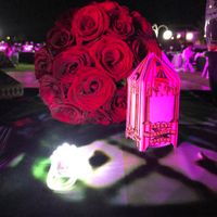  Mi boda Harry Potter - 9