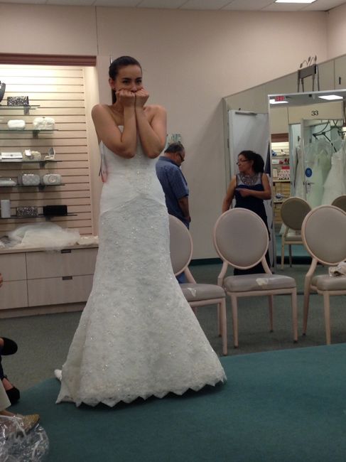 I said yes to my dress - 6