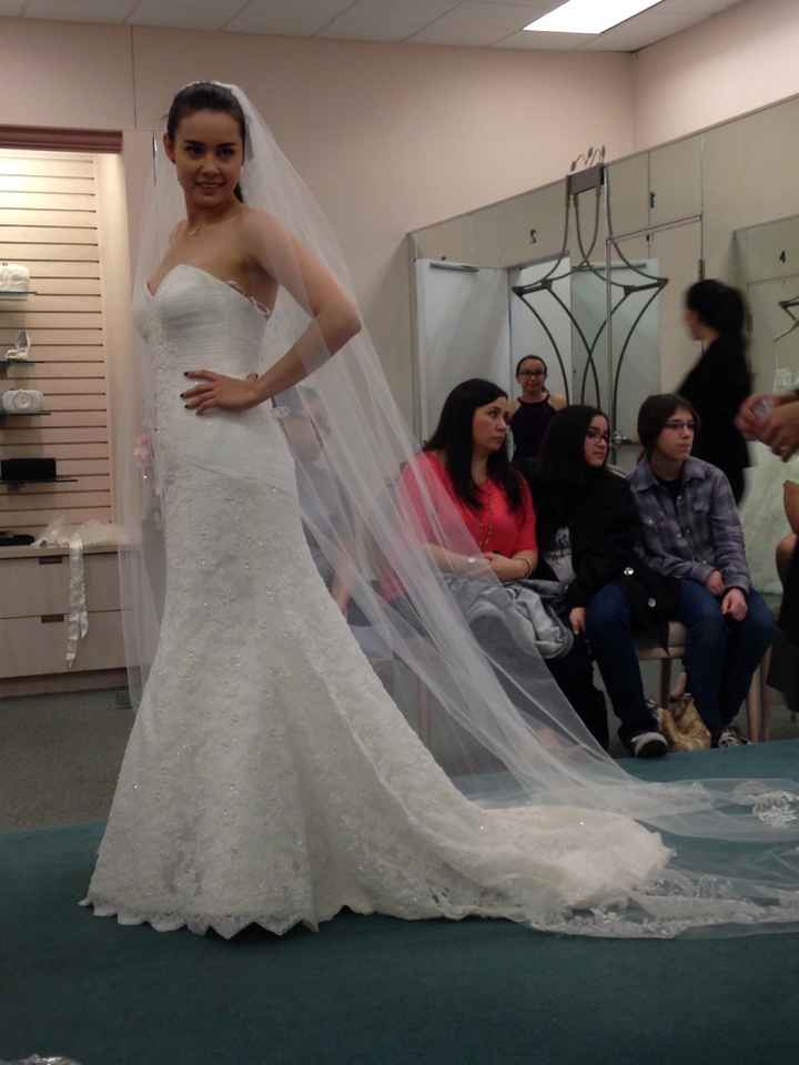 I said yes to my dress - 8