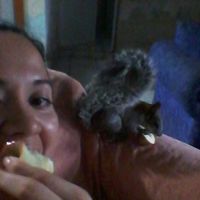 La foto de tu mascota! - 1