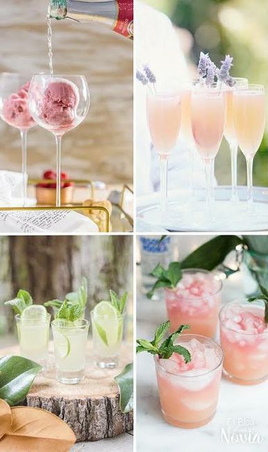 Barra libre o Mesa de cócteles 17