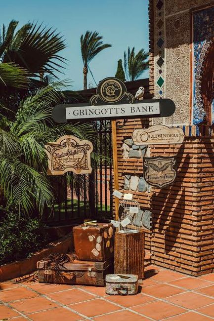 Boda mágica Harry Potter 18