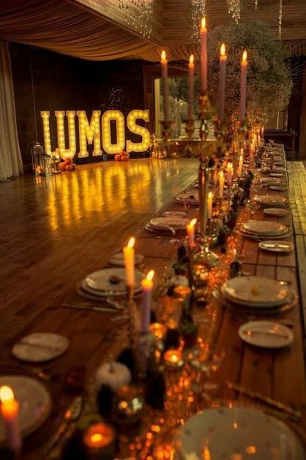 Boda mágica Harry Potter 22