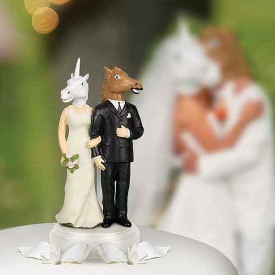 Boda unicornio - 1