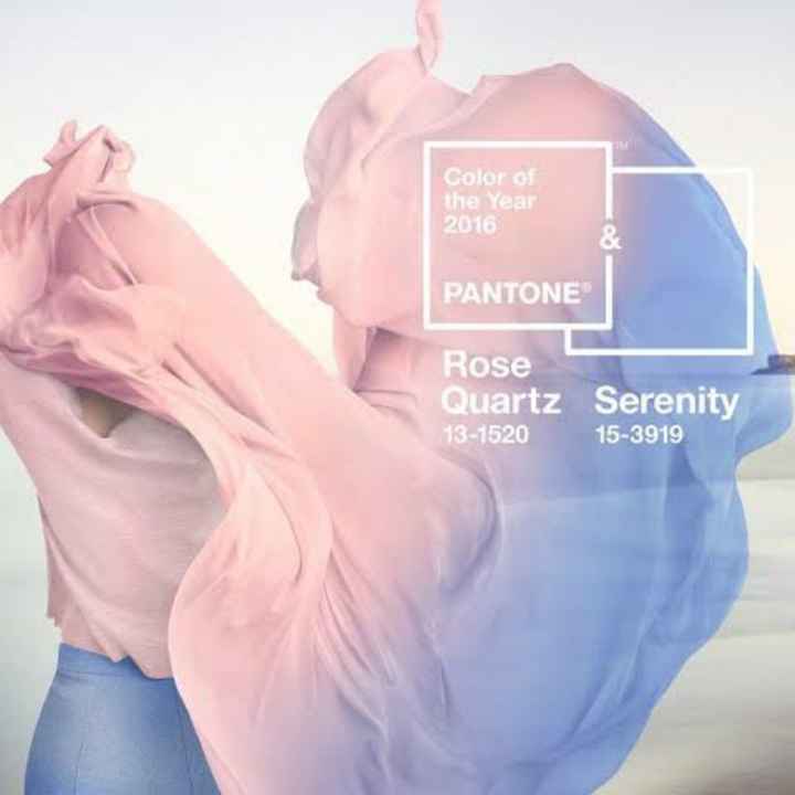 Boda rosa cuarzo y azul serenity - 8