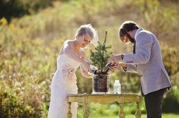 siembra un arbol 